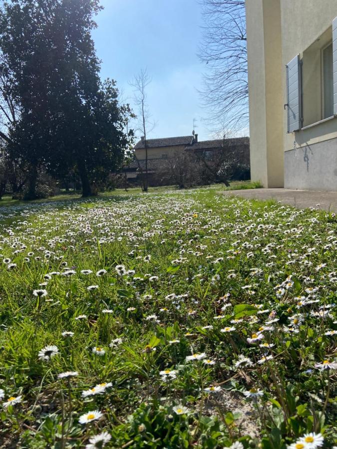 Acero Giallo Парма Экстерьер фото